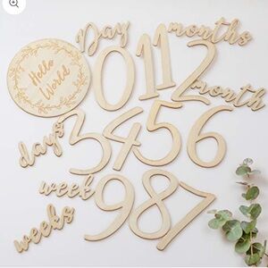 Baby Wooden Milestone Set & Closet Dividers - Like New